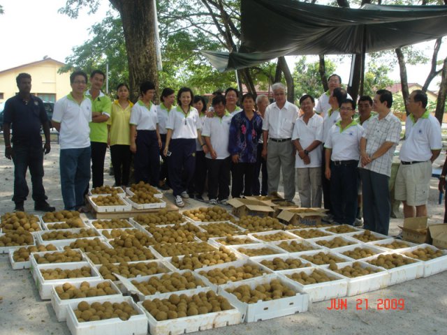 YB Tn Phee Boon Poh menyaksikan lebih 3,000 biji EM Mud Ball yang dibuat oleh penduduk Tmn Bg Lalang, B'worth pada 21-6-2009